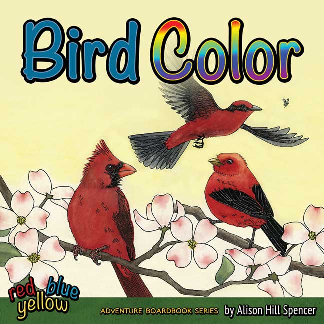 Bird Color